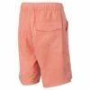 Ron Jon Kids Melon Ledge Swim Volley 1 Ron Jon Kids Melon Ledge Swim Volley -OOfos Sale d800x800 10540147606 melon ron jon boys ledge volley back