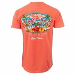 Ron Jon Hippie Waves V2 Graphic Tee -OOfos Sale d800x800 17030900045 salmon ron jon hippie waves v2 tee back